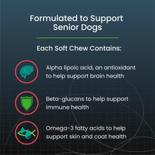 Load image into Gallery viewer, Nutramax Dasuquin Joint Health Supplement for Large Senior Dogs – for Immune Support, Skin &amp; Coat Health, and Brain Health, 84 Soft Chews
