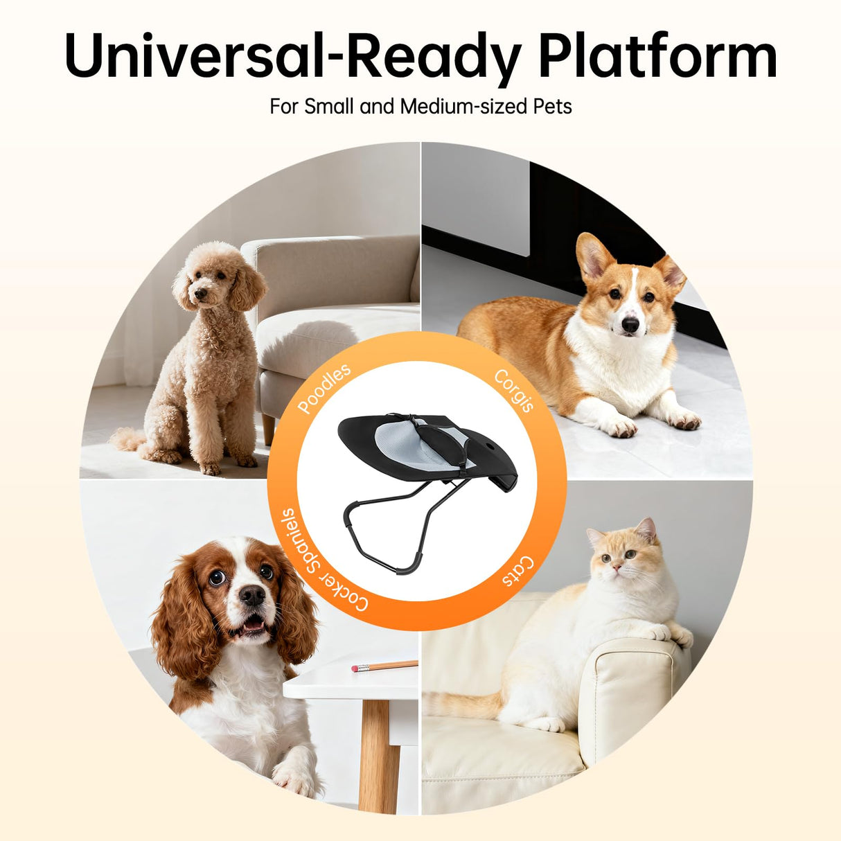 Jiabailie Pet Rocker Bed,Portable Pet Rocking Chair,Foldable Dog Bed,Washable Cat Cot,3-Position Height Adjustable for Cats Dogs up to 33 lbs (Black)