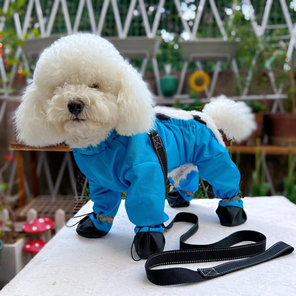Waterproof Dog Boots with Suspenders, 4-Leg Anti-Dirt Pants, Anti-Slip Paw Protectors, Adjustable Fit for Outdoor Use, Rain, Snow, Cold Resistant for Small and Medium Dogs (Blue, XS)