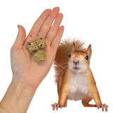 Exotic Nutrition Squirrel Beneficial Blocks - Healthy & Unique Supplemental Food with Nuts & Seeds, 20 oz