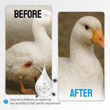 SILVER GRADE Wound Spray for Chicken from Birds & Chicken Antibiotics Alternative to Help with Pecking Sores, Bumblefoot, Cuts – Poultry Spray with Silver – GMOs Free – 4-Oz Bottle