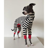 ESCCBOO Italian Greyhound Onesie Clothes, Turtleneck Striped Shirt for Whippets Puppy, Light and Thin Shirt for Spring and Summer (Small)