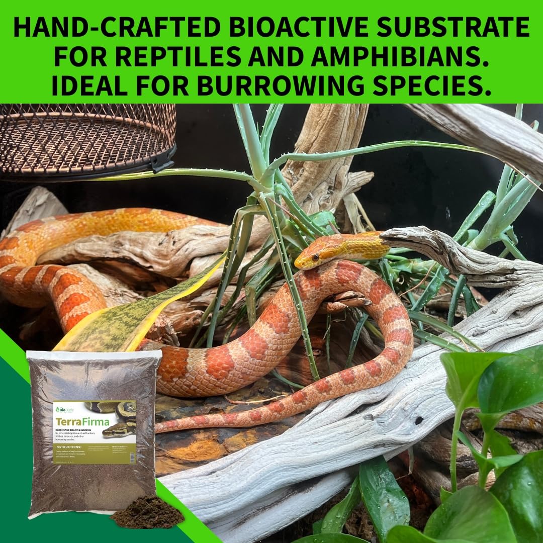 The Bio Dude Terra Firma Reptile Substrate 36 quarts for terrariums and vivariums. Bioactive Habitat Substrate for Ball Pythons, kingsnakes, milksnakes, arachnids and Lizards