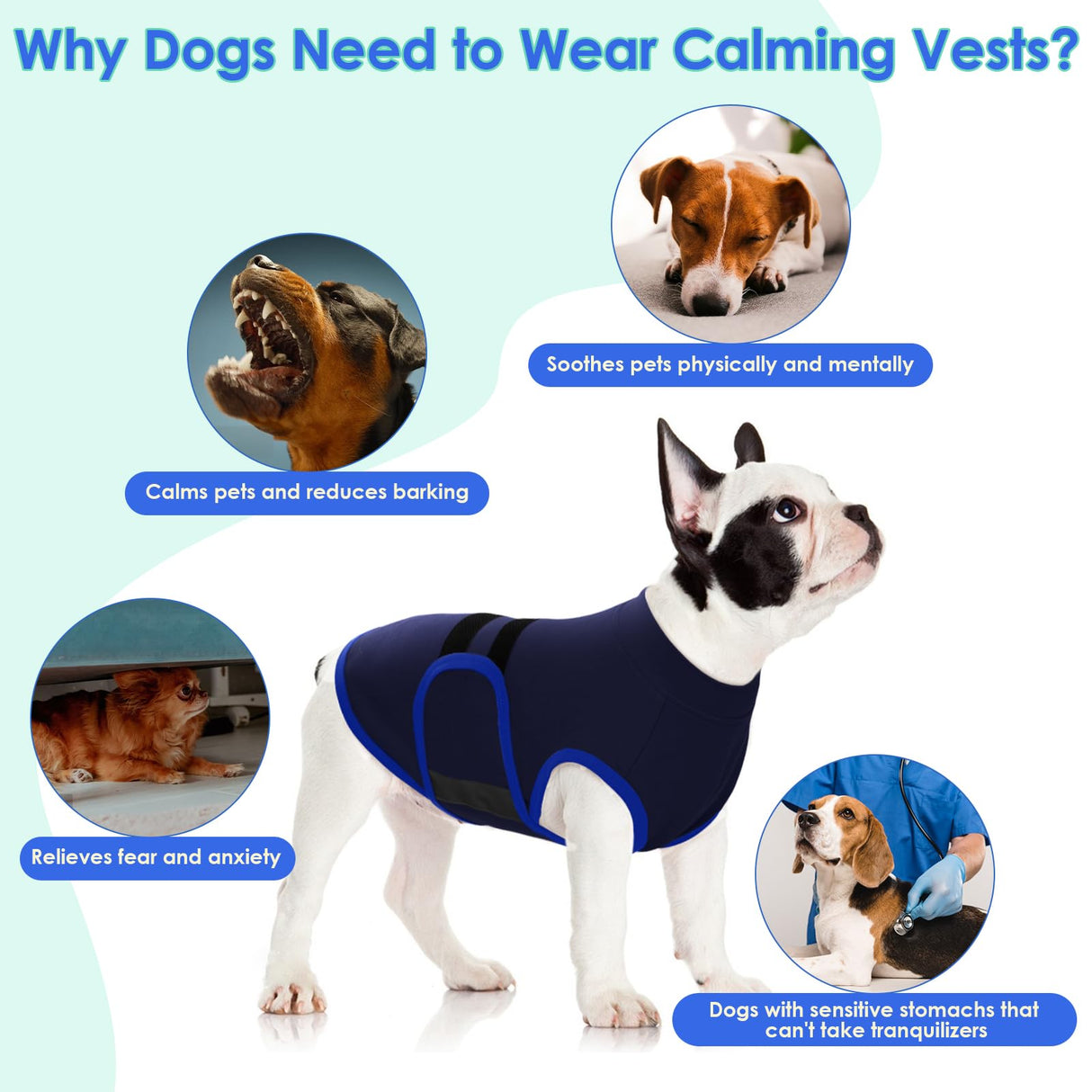 MIGOHI Dog Anxiety Relief Coat,Comfort Anxiety Vest for Dogs,Adjustable Anxiety Calming Wrap for Fireworks,Thunderstorms,Travel, Separation, Dog Anxiety Jacket for Small Dogs,XS,NavyBlue