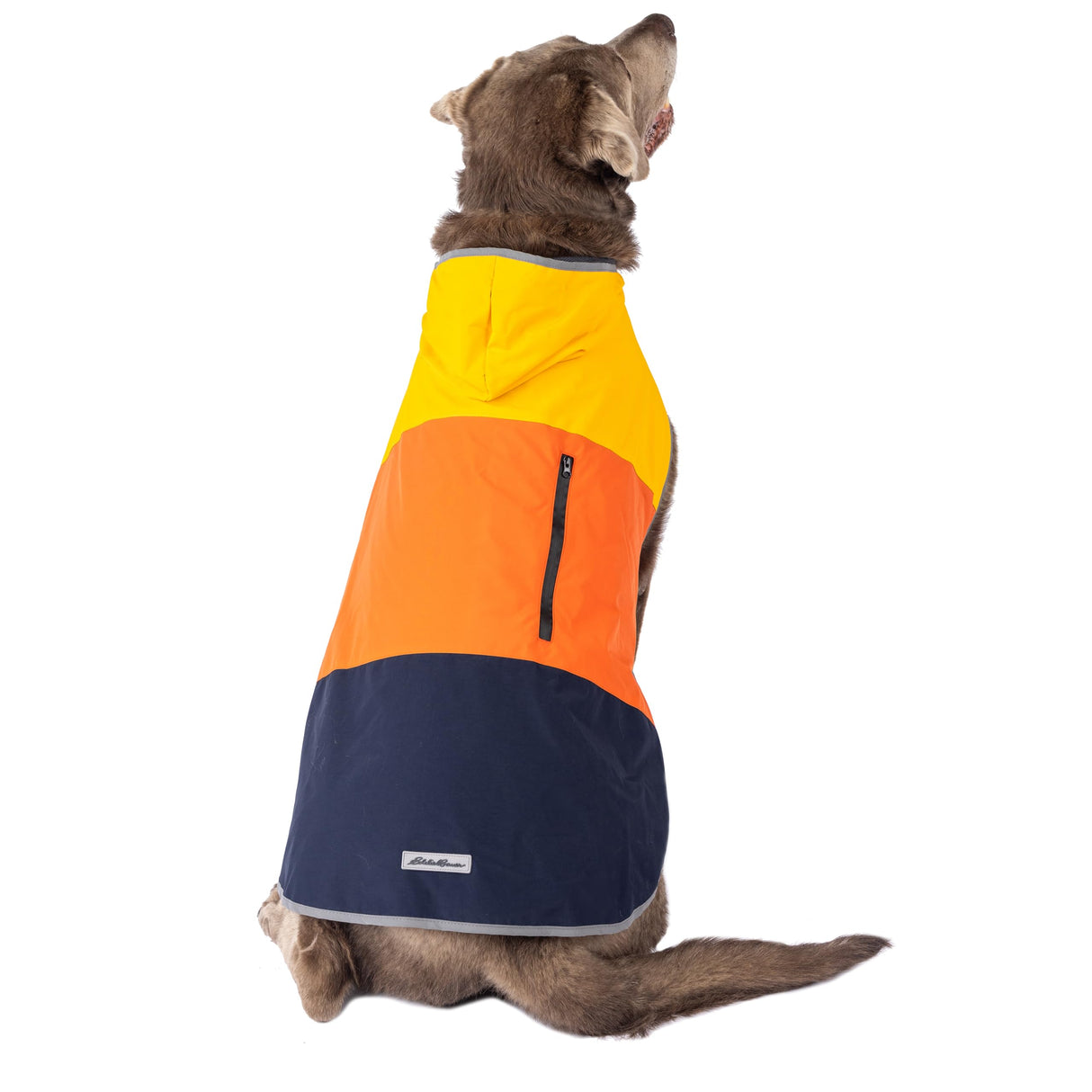 Eddie Bauer E23210XL Ravenna Colorblocked Dog Windbreaker Jacket in XL, Orange and Blue