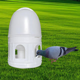Panchitalk Bird Water Drinker, Pigeon Water Feeding Plastic Drinker Dispenser, 5L Pigeon Pet Water Pot Container, Water Automatic Feeders Dispenser Supplies