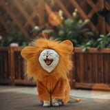 Rypet Dog Lion Costume Pet Clothes for Halloween Party Simulation Lion Pets Outfits Cosplay Dress up Clothes Pet Lions Hoodie Cat Costume for Party