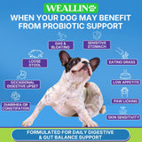 200 PCS Probiotics for Dogs - Dog Probiotic Chews for Gut Health, Digestive Support & Itchy Skin Relief Pet Diarrhea Gas Treatment - Probiotics, Digestive Enzymes, Prebiotics, Pumpkin