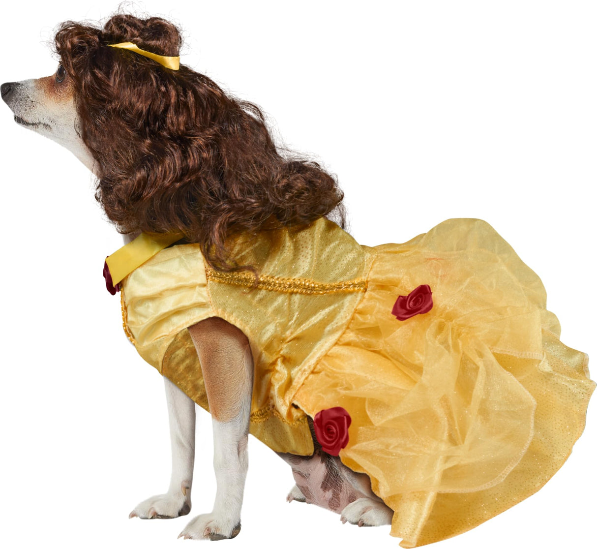 Disney Princesses: Belle Pet Costume for For Dogs or Cats by Rubies, XXXL