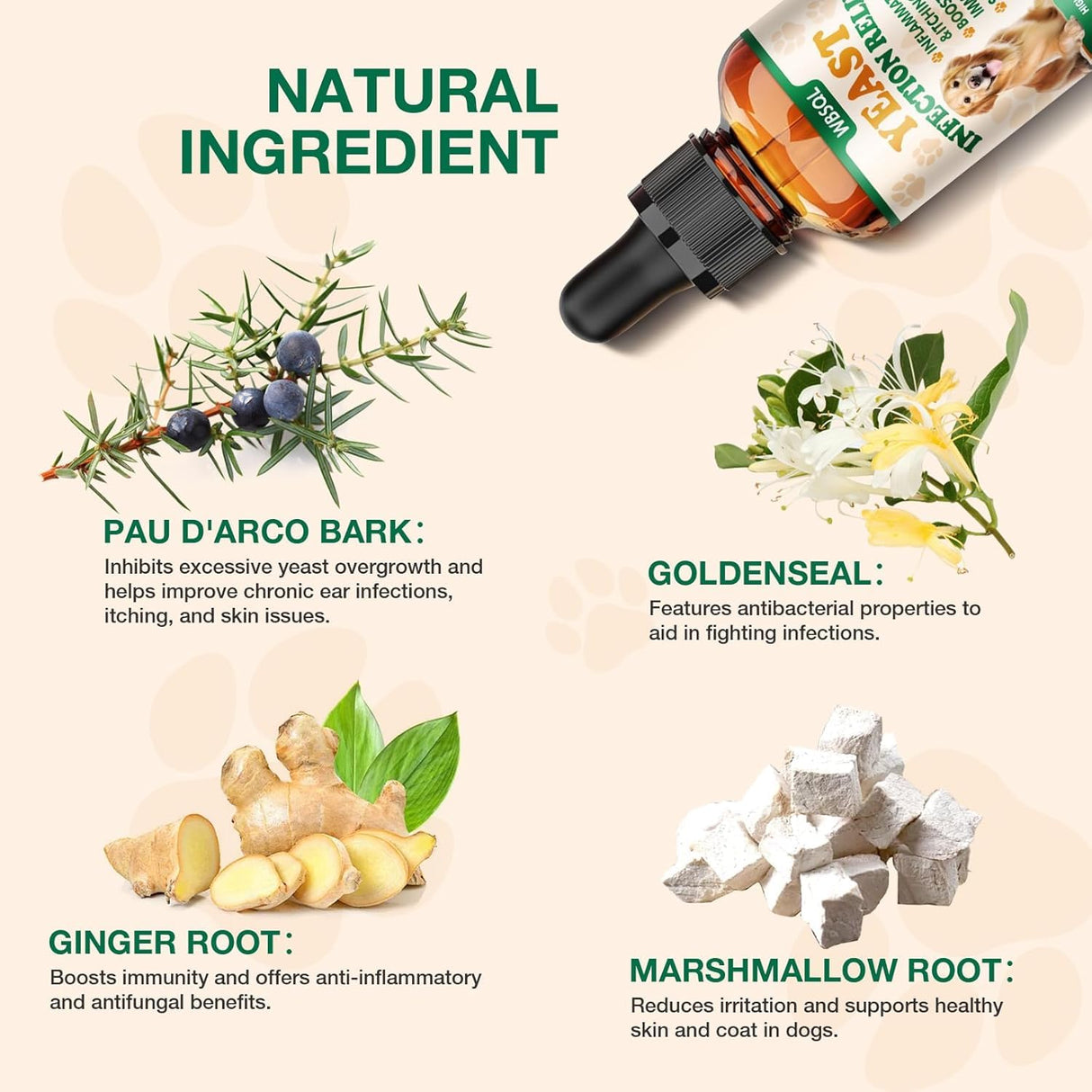Yeast Infection Treatment for Dogs & Cats - Dog Ear & Skin Itch Relief, Allergy Symptoms Relief, Reduces Inflammation & Irritation - Supports Immune Health with Multivitamins Probiotics, 2 fl oz