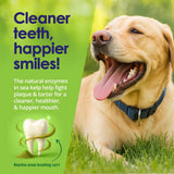 Dog Teeth Cleaning Powder, Dog Plaque and Tartar Remover, Bad Breath Treatment for Dogs with USDA Organic Sea Kelp Powder, Dog Dental Care Made Easy, for All Ages, 6oz