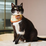 Pet Bandana for Cats and Dogs | Soft and Durable Pet Scarf | Available in 5 Styles S/M/L/XL | Adjustable Triple-Snap Closure (Forest Bear Bib, Medium)