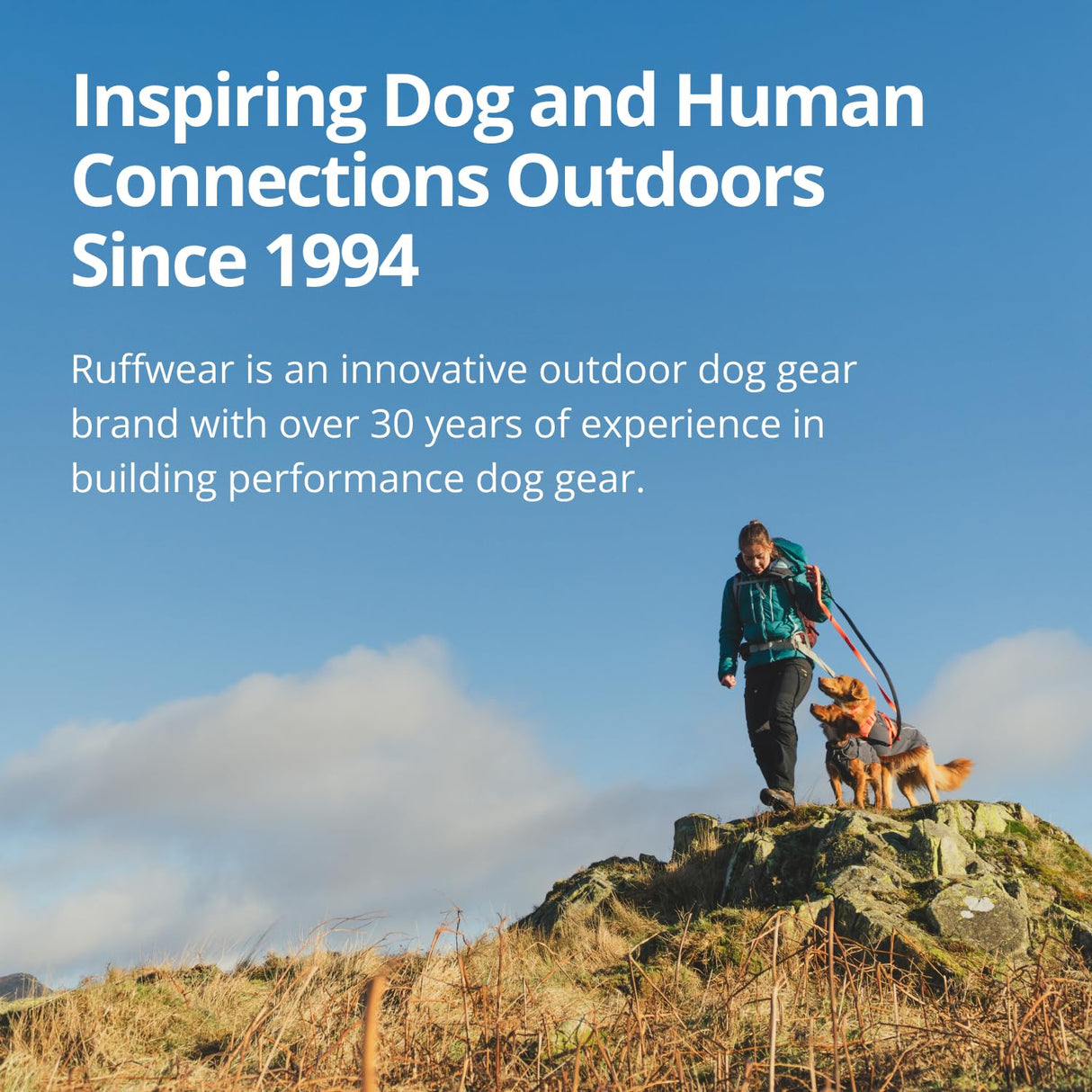 Ruffwear, Climate Changer Dog Fleece Vest, Lightweight, Warm, Winter Coat for Dogs with Adjustable Fit, Quick Release Buckles, Reflective Trim, and Harness Compatibility, Basalt Gray, XX-Small