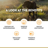 NaturVet Scoopables All-in-One Multivitamin for Dogs - Dog Vitamins and Supplements for Joint Support, Digestion, Skin & Coat Care & Immune - Hickory Smoked Bacon Flavor Vitamin Supplement | 11oz Bag