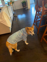 Turtleneck Dog Shirt Cute Doggie Embroidery Super Soft Dog Sweatshirt Stretchy Striped Puppy Pullover for Cats Small Medium Large Dogs (6X-Large, Blue Striped)