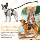 Dog Lift Harness, Dog Support & Recovery Sling for Full-Body & Hind/Front Leg – Pee-Able Design for Large/Medium Dogs – All-in-One Ideal Assistance for Senior, Disabled, Arthritic & ACL Canines (XXL)