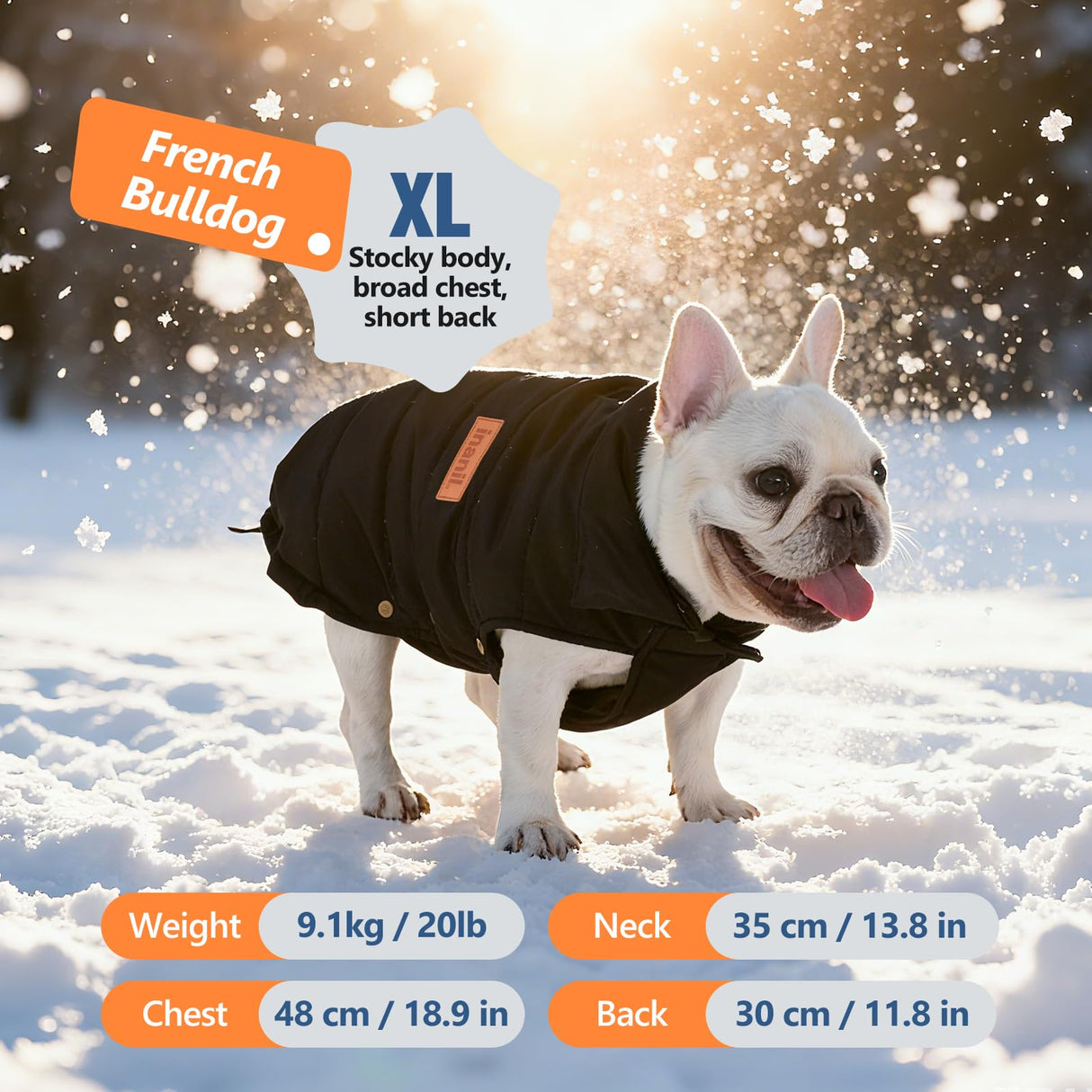 Dog Puffer Jacket for Small & Medium Dogs, Waterproof Windproof Warm Dog Winter Coat, Lightweight Cold Weather Pet Vest with Leash Hole and Adjustable Fit, Black, L