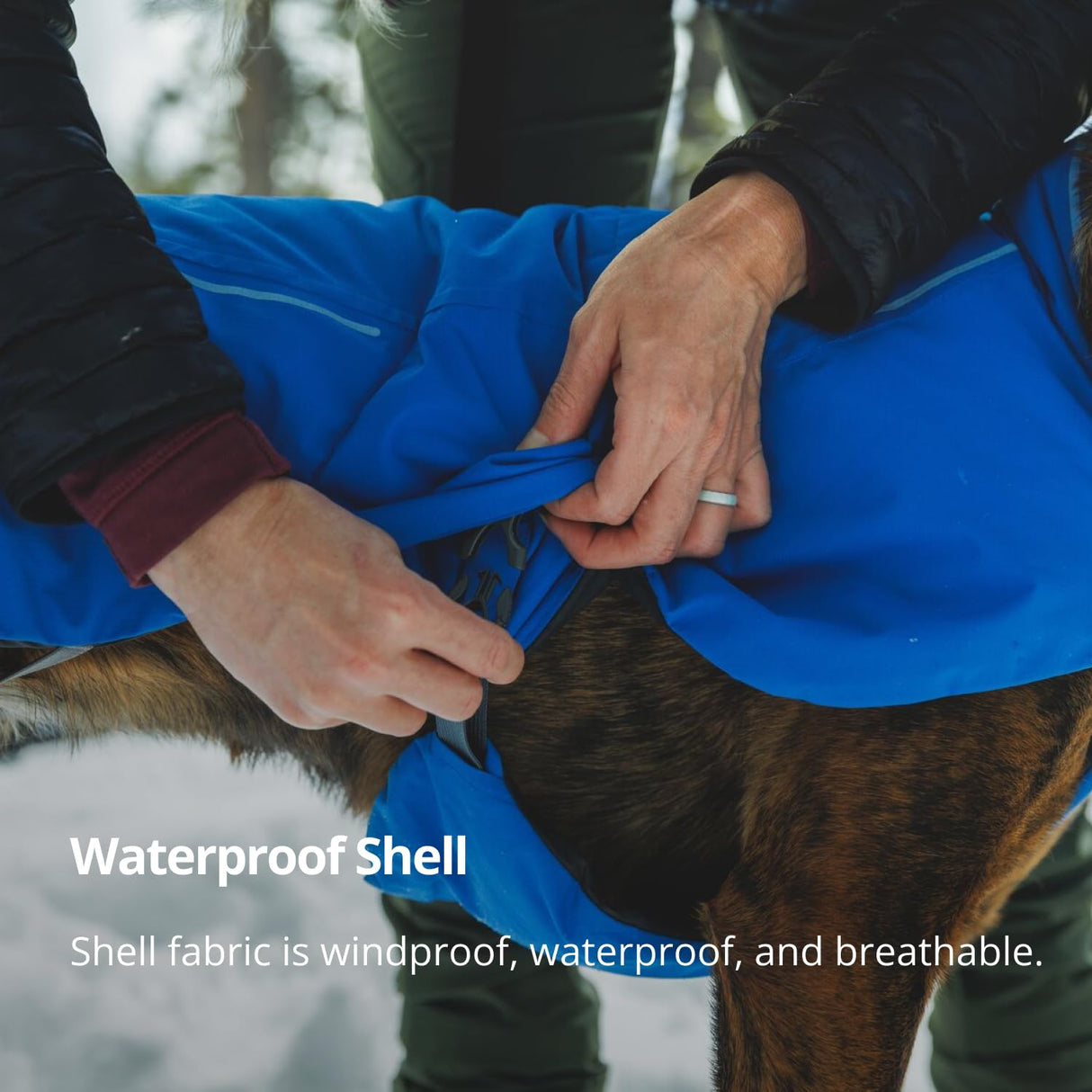 Ruffwear, Vert Dog Winter Jacket, Insulated Waterproof Dog Coat with Harness Leash Portal, Breathable Design with Leg Loops, Windproof Extended Coverage, Reflective Trim, Blue Pool, Large