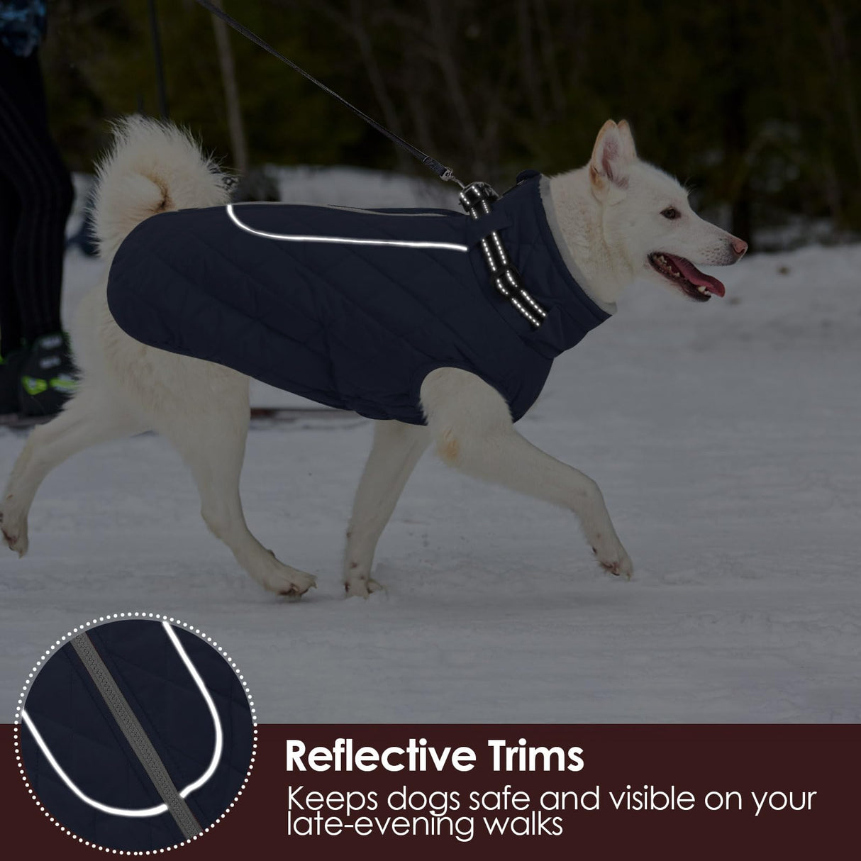 AOFITEE Small Dog Winter Coat, Waterproof Dog Winter Jacket with Zipper & Fleece Collar, Reflective Dogs Puffer Jacket, Small Pet Snow Coat Snowsuit for Yorkshire, West Highland