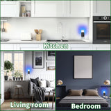 Carmelie Fly Trap Indoor, Fruit Fly Trap for Indoors, Plug-in Flying Insect Traps Catcher with Dimmable UVA Attract Night Light Mode, for House Flies Bugs Mosquito Pest, Black(2 Device+10 Glue Cards)