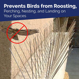 Bird-X (STS-10-R) STAINLESS STEEL SPIKES-10' Standard, 10 feet, Silver