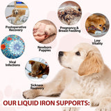Iron Supplements for Dogs, Liquid Iron for Dogs with Folate and B12 Supports Anemia, Supplement for Anemia, Promotes Blood Health 2 oz