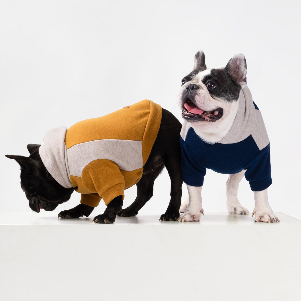 Fitwarm Color Block Dog Hoodie Sweater, Winter Clothes for Small Dogs Boy Girl, Lightweight Pet Hooded Sweatshirt, Brown, Beige, XL