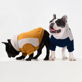 Fitwarm Color Block Dog Hoodie Sweater, Winter Clothes for Small Dogs Boy Girl, Lightweight Pet Hooded Sweatshirt, Brown, Beige, XL
