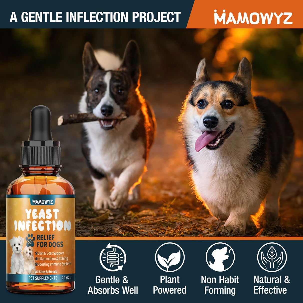 Dog Yeast Infection Relief - 60ml Herbal Pet Supplement, Soothes Itching & Odor, Supports Skin Flora Balance, Safe for Puppies to Senior Dogs, Easy-Dose Dropper