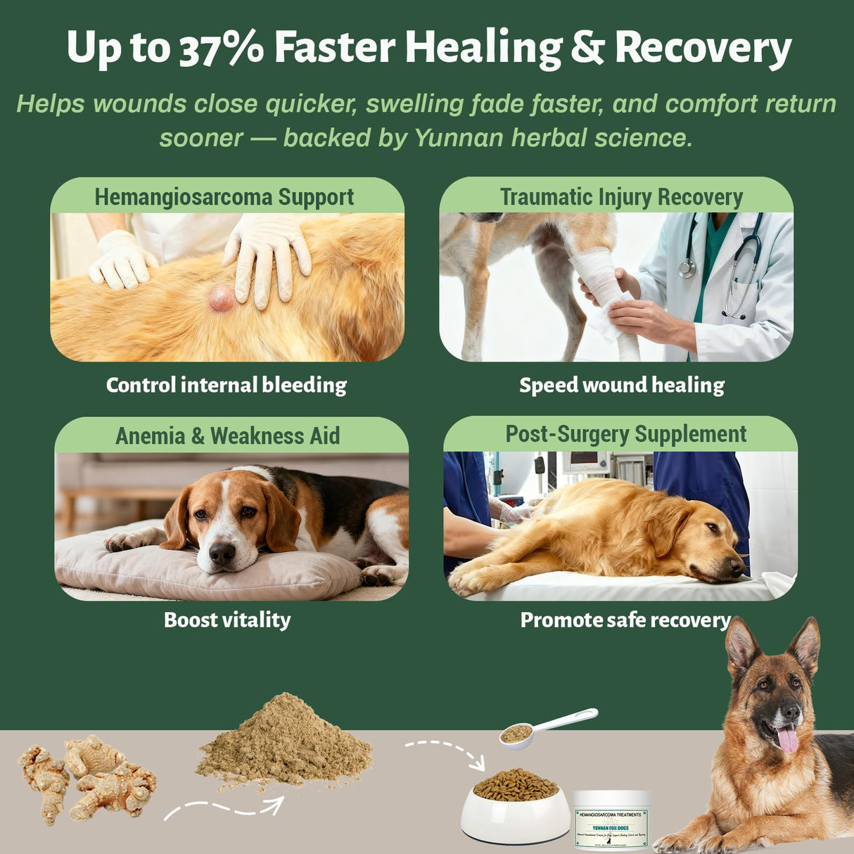 Quick Stop Bleeding for Dogs, Natural Herbal yunnan Sanqi Powder for Hemangiosarcoma, Hemoabdomen, Pericardial Effusion, Cancer Bleeding, Severe Bruising, Ulcer-Related Bleeding, Bloody Stools - 100g