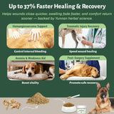 Quick Stop Bleeding for Dogs, Natural Herbal yunnan Sanqi Powder for Hemangiosarcoma, Hemoabdomen, Pericardial Effusion, Cancer Bleeding, Severe Bruising, Ulcer-Related Bleeding, Bloody Stools - 100g