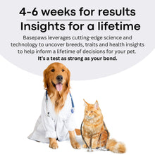 Load image into Gallery viewer, Basepaws Dog DNA Testing Kit - 330+ Breeds, 280+ Health Risks, and 30+ Traits - Comprehensive Mixed Breed Identification, Pet DNA Test kit, Canine Genetic Ancestry and Heritage
