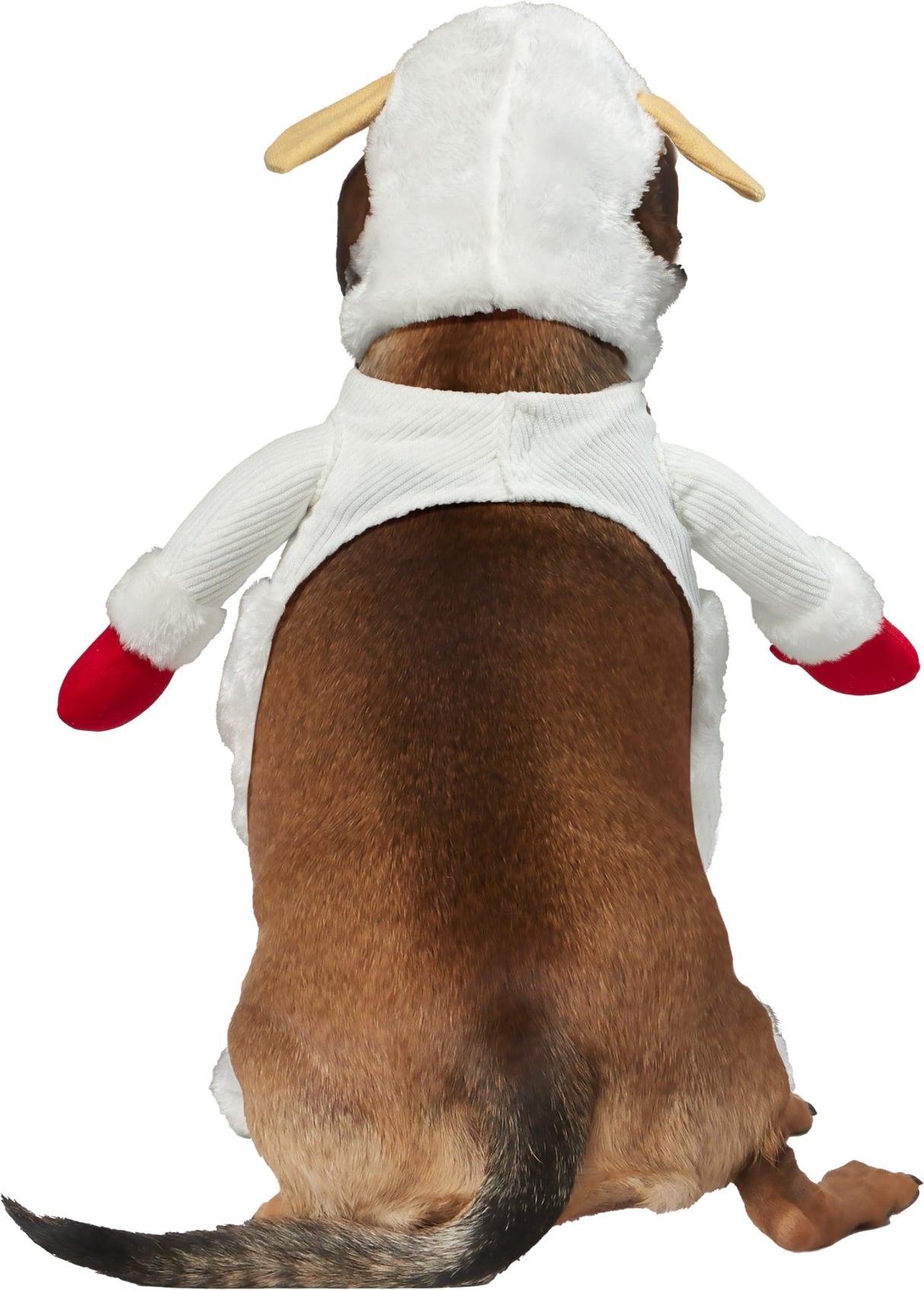 Lamb Chop: Pet Costume for For Dogs or Cats by Rubies, Small