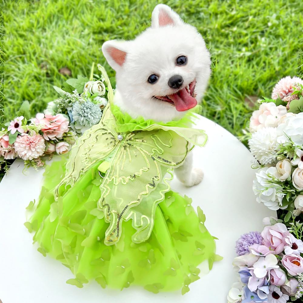 Anelekor Rainbow Butterfly Dog Dresses for Small Dog Girl Puppy Lace Tutu Princess Dress Cat Outfit Pet Butterfly Costume for Kitten Chihuahua Yorkie Pomeranian (Green, X-Large)