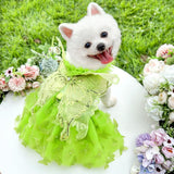 Anelekor Rainbow Butterfly Dog Dresses for Small Dog Girl Puppy Lace Tutu Princess Dress Cat Outfit Pet Butterfly Costume for Kitten Chihuahua Yorkie Pomeranian (Green, X-Large)