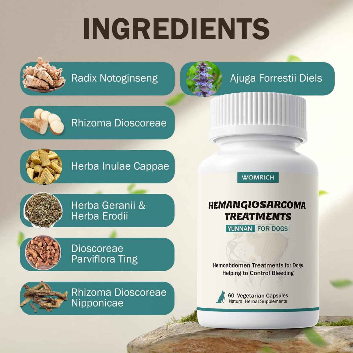 Blood Support for Dogs, Yunan Sanqi Capsules for Dogs for Hemangiosarcoma, Hemoabdomen, Pericardial Effusion, Cancer Bleeding, Severe Bruising, Ulcer-Related Bleeding, Bloody Stools - 60 Capsules