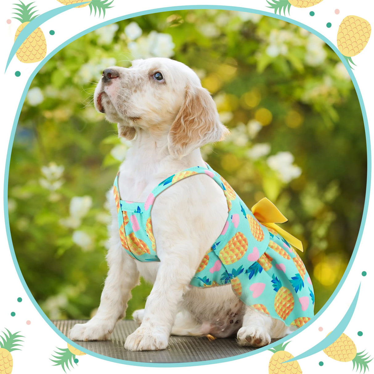 Frienda 6 Pieces Bowknot Princes Puppy Dog Dress Floral Vest Skirt Summer Pet Dress Dog Cute Rosette Sundress Apparel for Puppy Cat Pet(M)