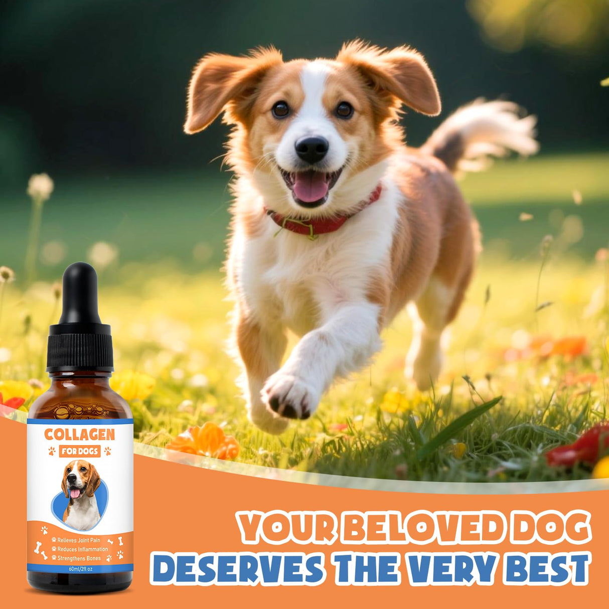 Collagen for Dogs,4.22oz (120ml) Liquid Collagen for Dogs,Enhances Joint Support,Flexibility,Cartilage and Mobility,Relieves Itching in Allergic,Liquid Drops Suitable for Cats and No Side Effects