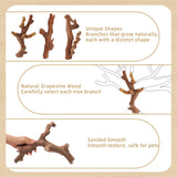 kathson 2PCS Wood Hamster Climbing Branches Decor, Natural Wooden Syrian Hamster Climb Chewing Toys, Rat Exercise Toys, Small Animal Habitat Decor Accessories for Dwarf Pets, Gerbils, Mice (7.8IN)