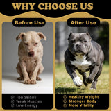 Petterm Dog Muscle Gain Chews - Dog Weight Gain Treat Weight Gain Supplements for Dogs Muscle Builder - with High Protein & Amino Acids for Lean Strength Recovery - 100 Chews for All Breeds & Ages