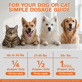 Organic Неmp Oil for Dogs Cats (2-Pack), Supports Hip Joint Health, Rеlaxation & Slеep, Pet Calming Drops, Dog Anxiеty Relief & Strеss & Pаin Rеlief for Dogs