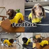 WienieDay Dachshund Dog Turtleneck Sweater, Adjustable Polo Collar with Zipper, Four-Legged Warm Double Fleece, Stretchy Clothes for Mini Dachshunds (Yellow, X-Small)