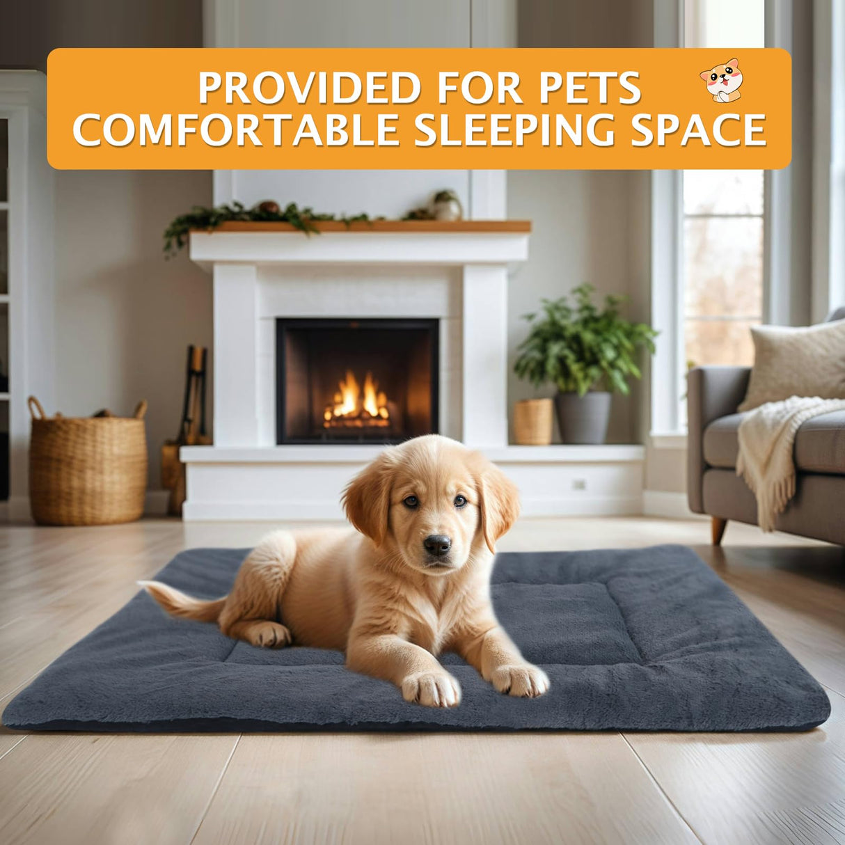 Vetasac Reversible Dog Bed Mat with Plush and Corn Velvet,Soft Warm Pet Cushion, Dual Purpose Washable Sleeping Mattress Bed for Small Medium Large Dog and Cat XB004 (30"x20", Dark Grey)