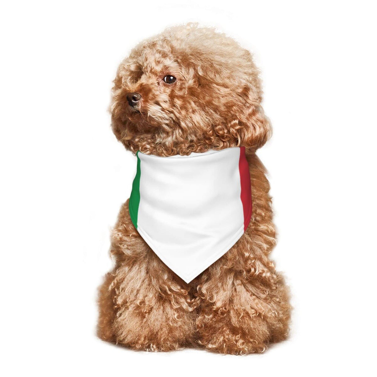 Dog Bandanas Italian Flag Pet Bandana Scarf Triangle Bibs Kerchief Accessories for Dogs Cats
