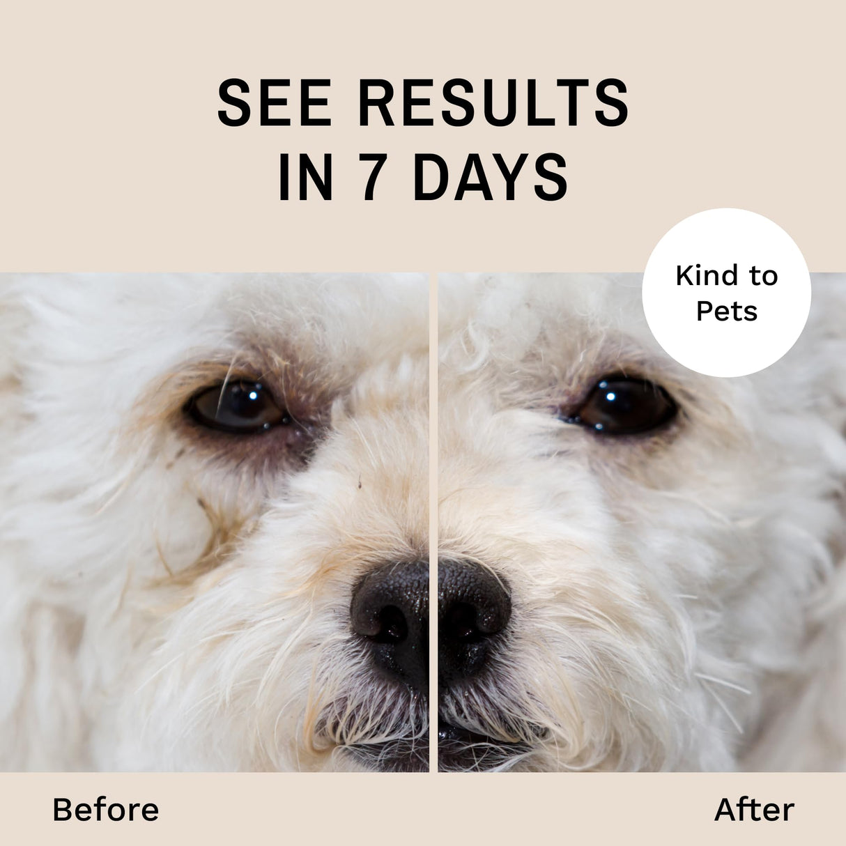 Eye Envy Dog Tear Stain Remover Starter Kit with ProPowder Brush | Stain Solution, Applicator Pads, Stain Powder and Small Applicator Brush | Lasts 30-45 Days