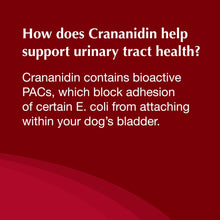 Load image into Gallery viewer, Nutramax Laboratories Crananidin Cranberry Extract Urinary Tract Health Supplement for Dogs, 75 Chewable Tablets
