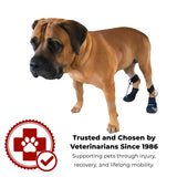 WALKABOUT™ Toe'sUP No Knuckling Boot Brace for Dogs Dragging Paws | Corrective Dog Shoes to Safely Lift Toes