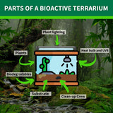 The Bio Dude Terra Firma Reptile Substrate 36 quarts for terrariums and vivariums. Bioactive Habitat Substrate for Ball Pythons, kingsnakes, milksnakes, arachnids and Lizards