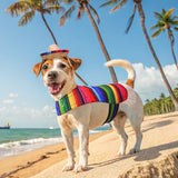 SCENEREAL Mexican Serape Dog Costume, Dog Sombrero Hat Pet Bandana Poncho Costume, Stitch Funny Dogs Colthes with Cowboy Hat for Small Medium Dogs, Chihuahua Clothes for Halloween Party Decorations