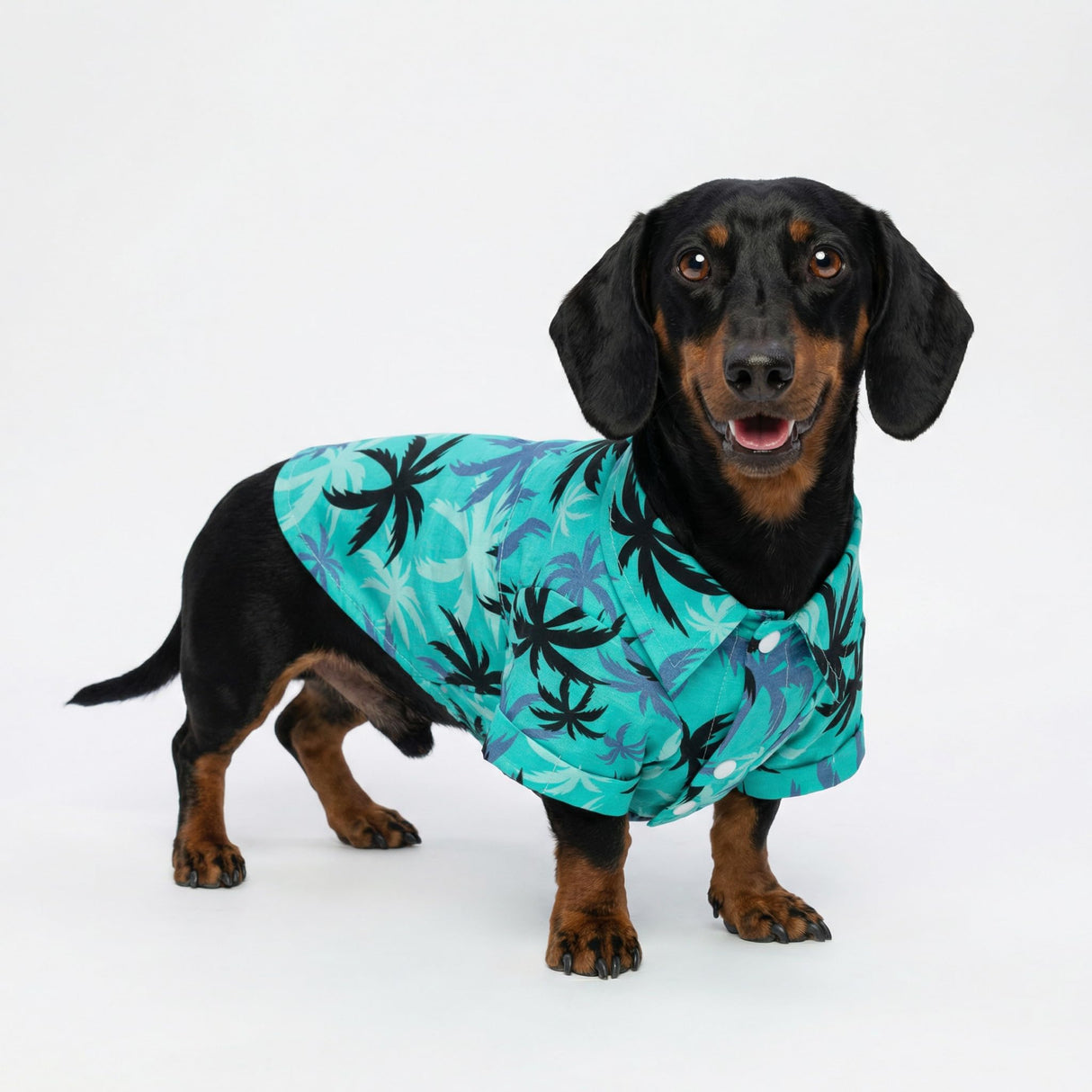 Fitwarm Hawaiian Coconut Palm Dog Shirt, Tropical Summer Clothes for Small Dogs Boy, Pet Collared Outfit, Light Sea Green, Black, XS